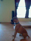 On guard!