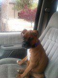 Lets go for a ride!