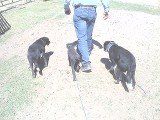 Going to work!