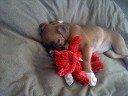 Nap Time!