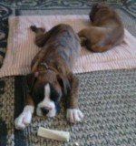 My Bone!