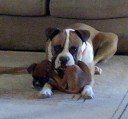 Mine!