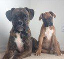 Big and Little!