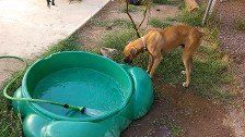 How is the water!
