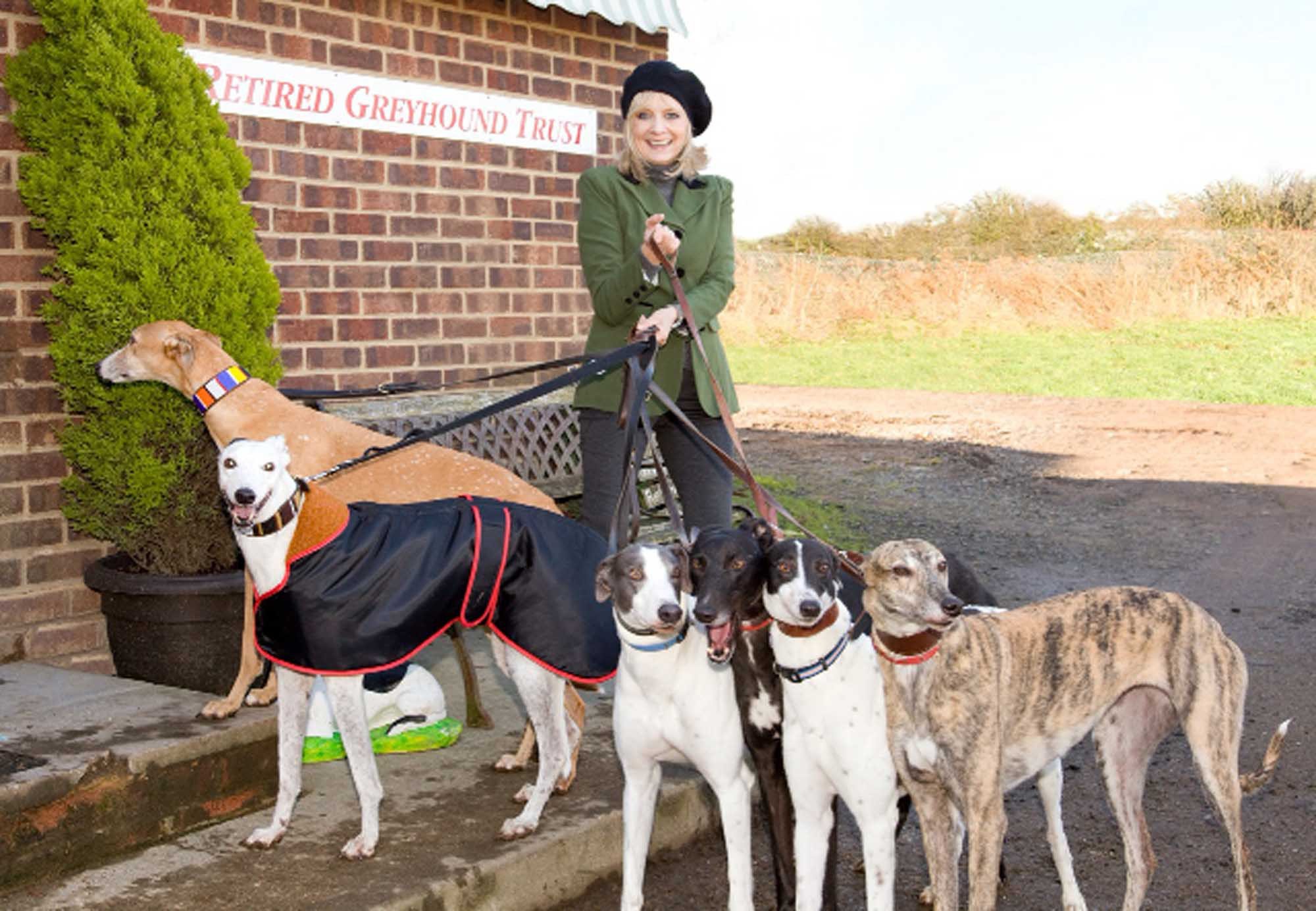 Twiggy with greyhounds