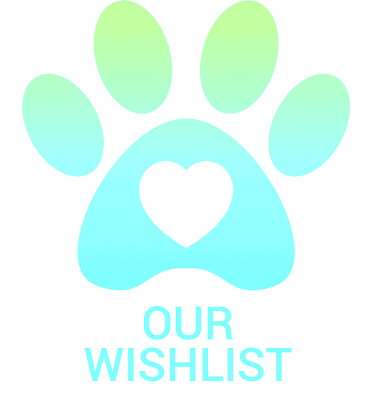 donate button