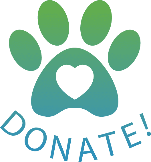 donate button