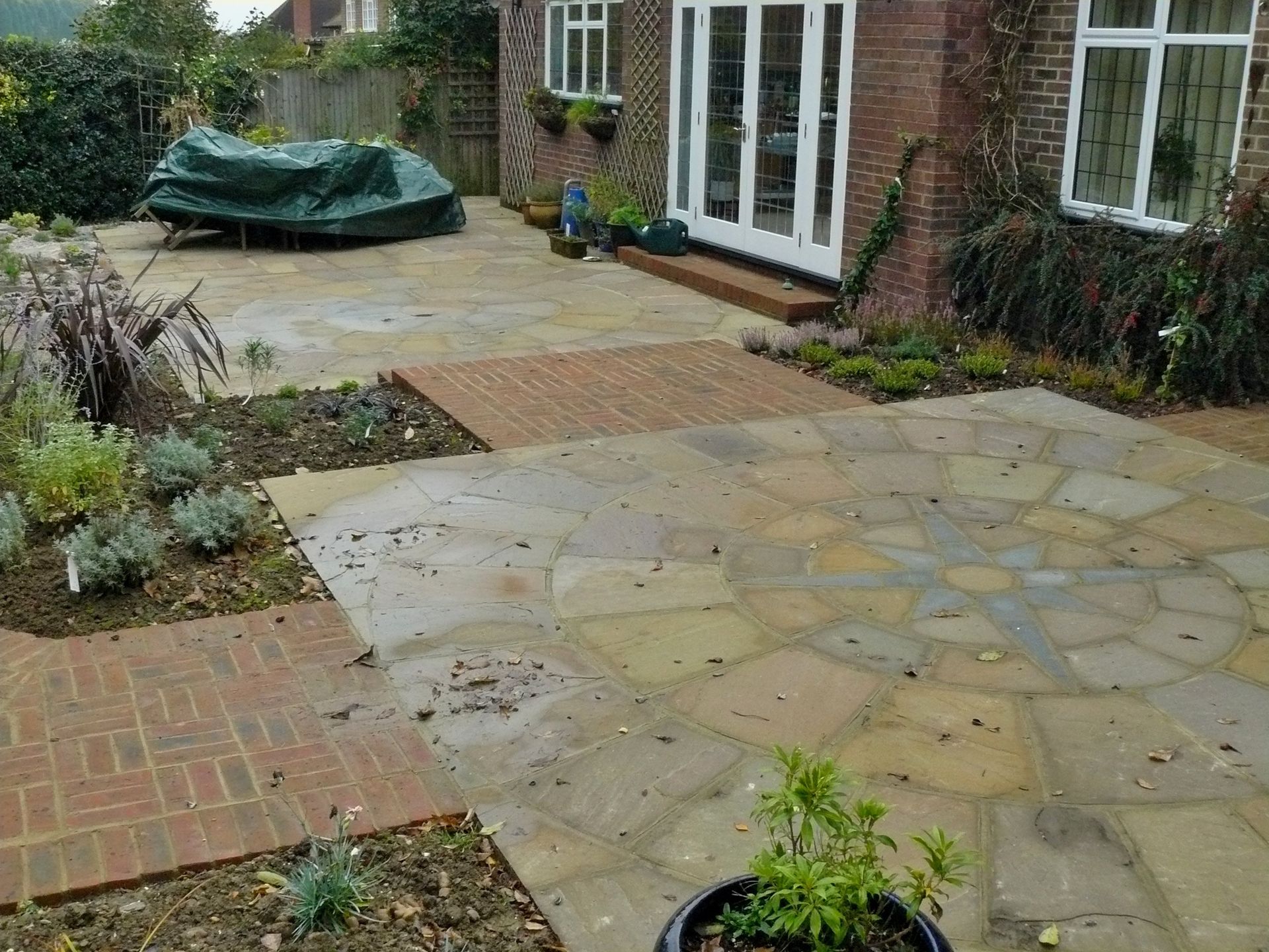 garden area before cleaning