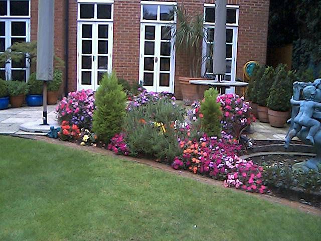 pink garden flowers