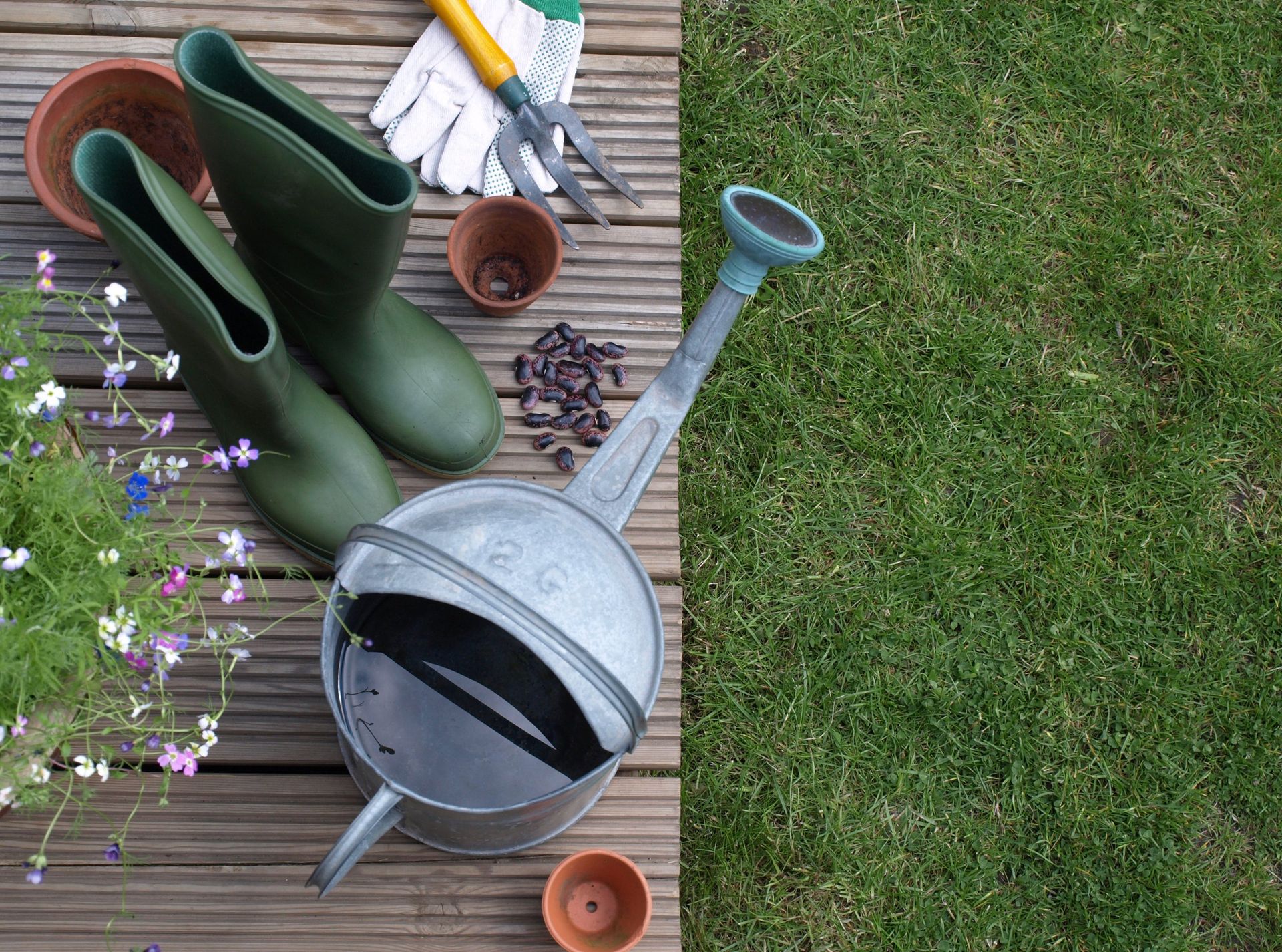garden cleaning