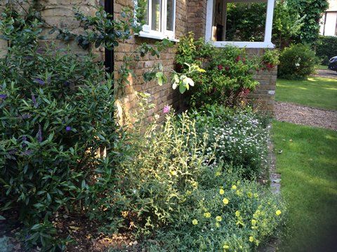 partial view of the garden
