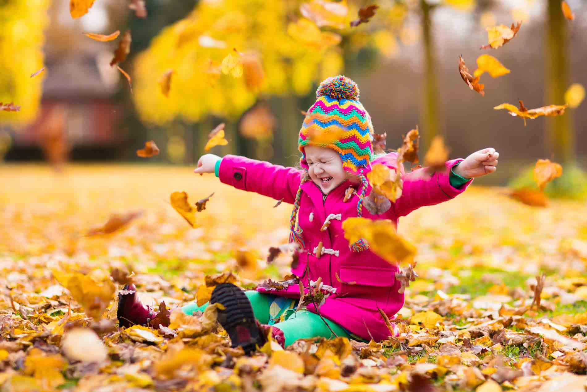 Toddler playing in the leaves toddler playing in the leaves