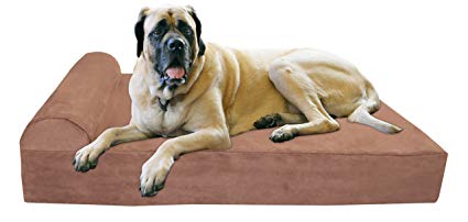 Dog on His Sofa Bed — Studio City, CA — Rusty’s Discount Pet Center