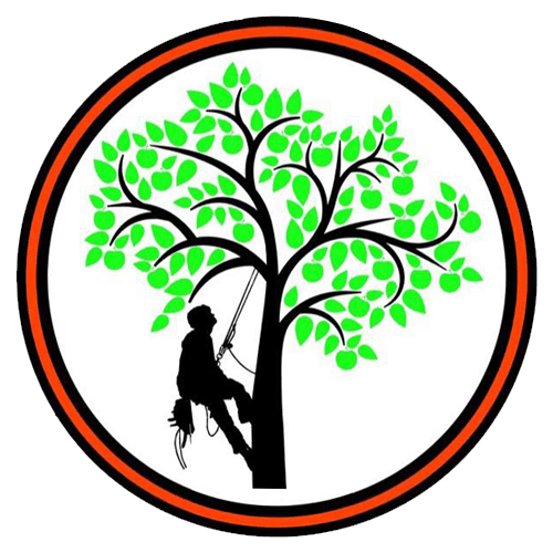 D. J Tree & Garden Services Company Logo