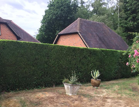 Hedging service