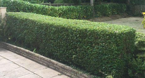 Hedging solutions