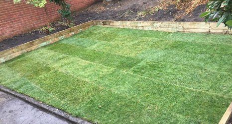 landscaping