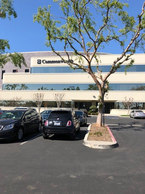 Commercial Painting — Newly Painted Commercial Establishment in Bakersfield, CA