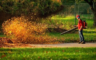 Grounds clearance in Tring