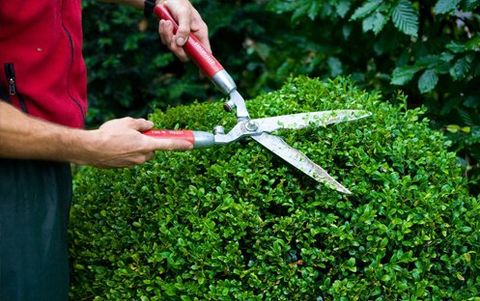 Storm damage repairs