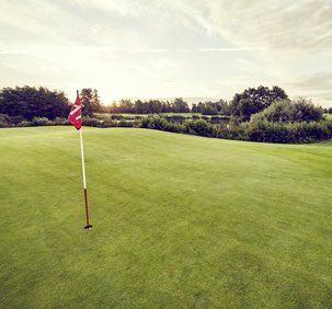 Grounds maintenance