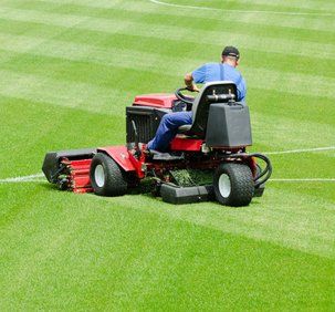 Lawn maintenance