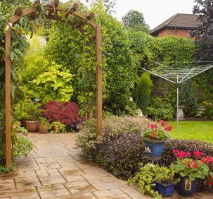 Tree and hedge care