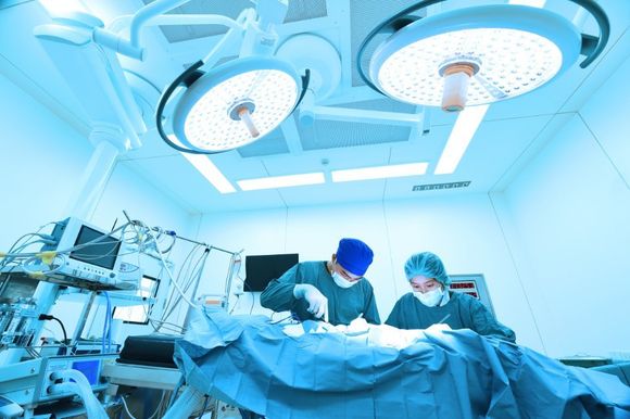 Visita di endocrinologia veterinaria