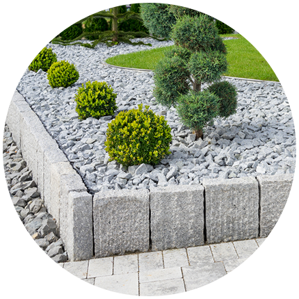 stones and plants