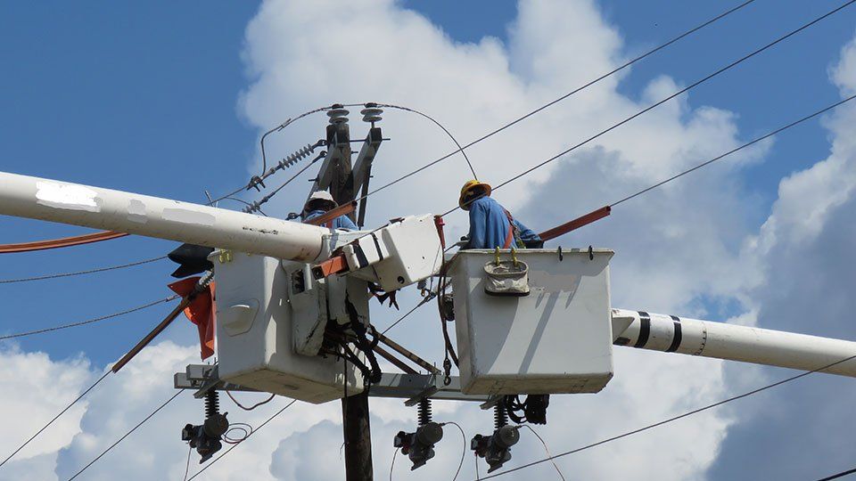 Contractor — Repairing Powerline Damage in Stevens, WA