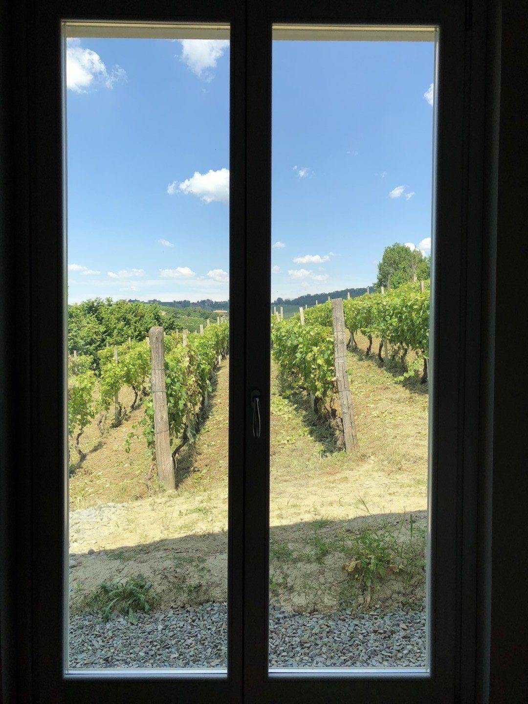 Vista dalla casa vacanze sui vigneti soleggiati del Piemonte