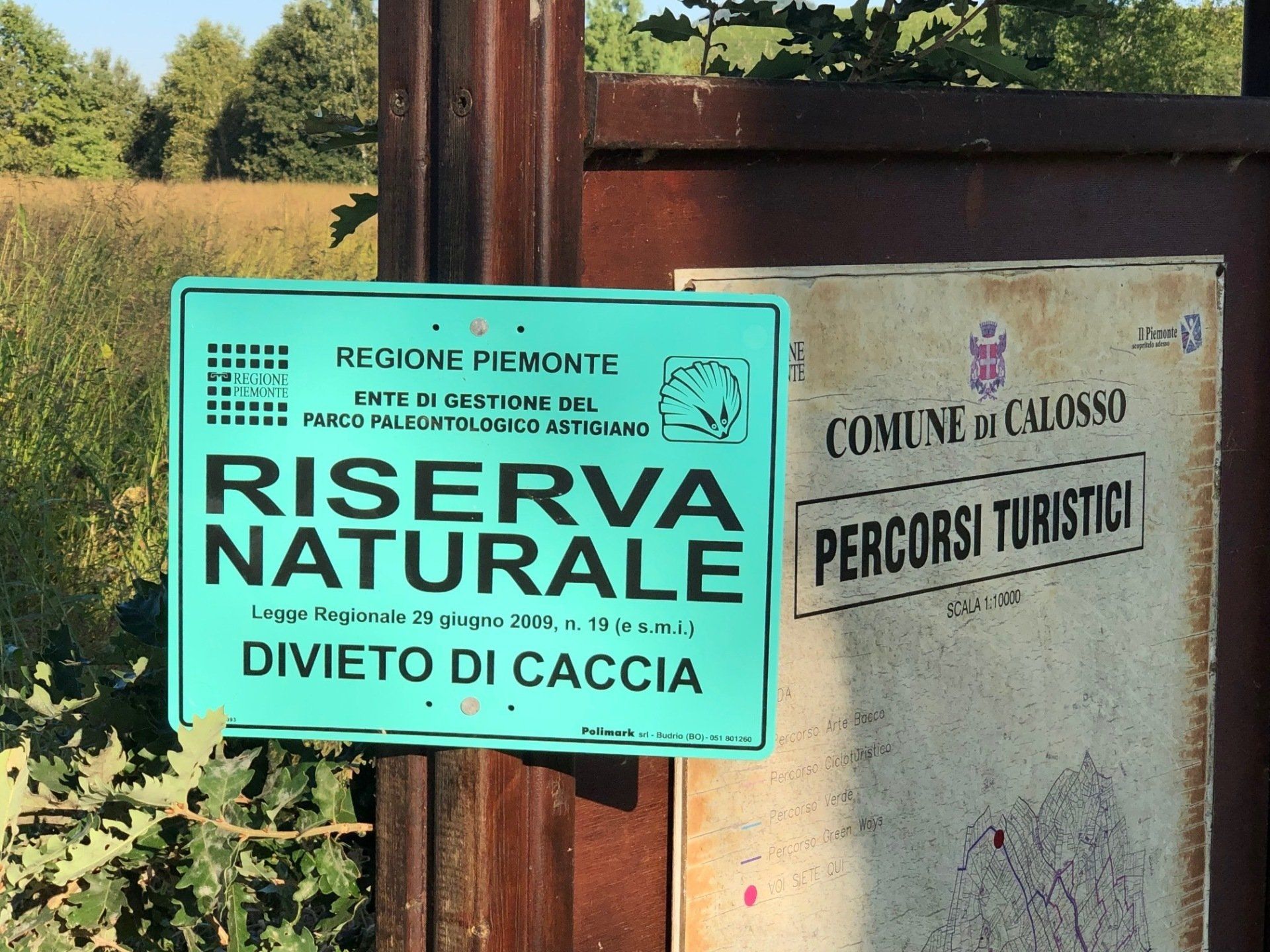 Uva baciata dal sole sulla Casetta Fausano