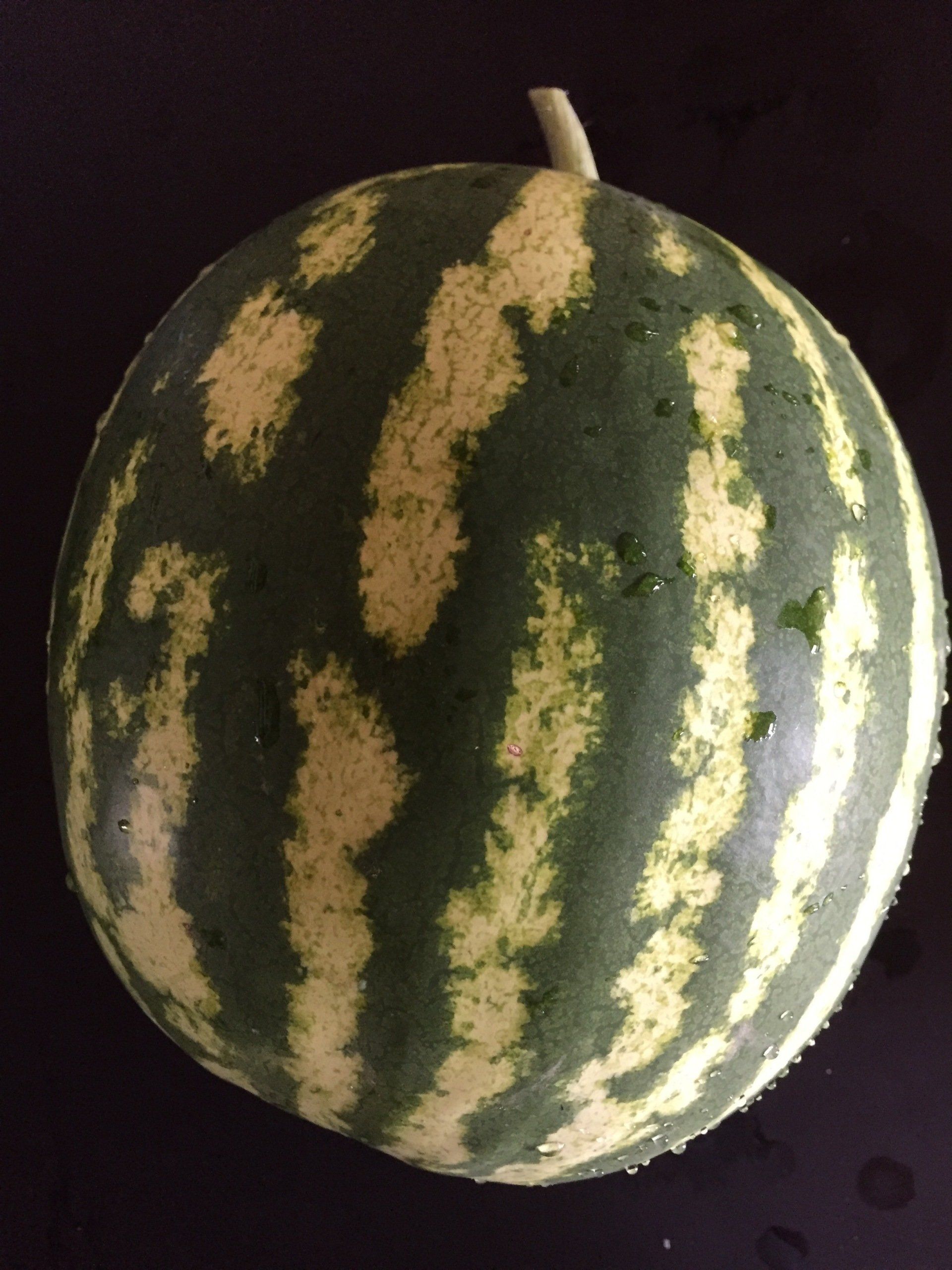 Melone