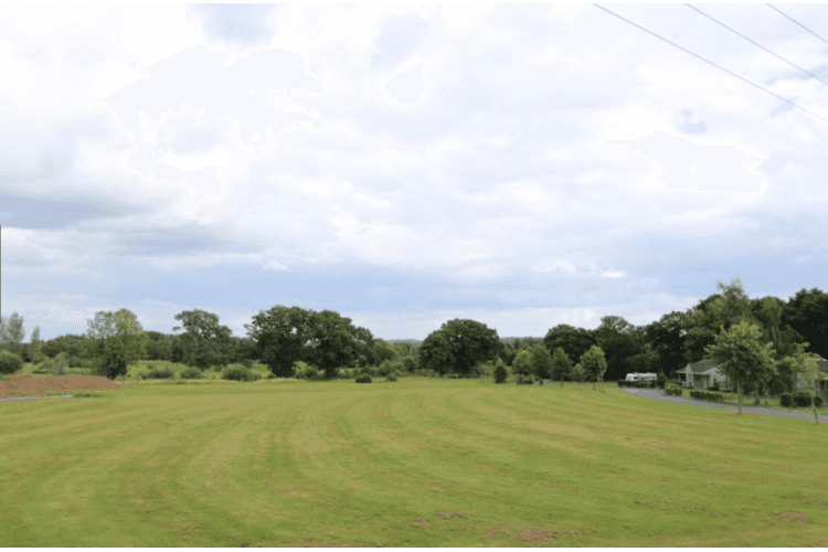 A lush green field with trees and power lines in the background.