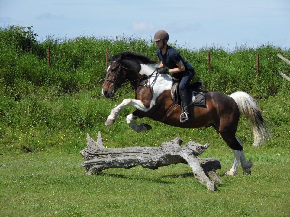 Cross country course