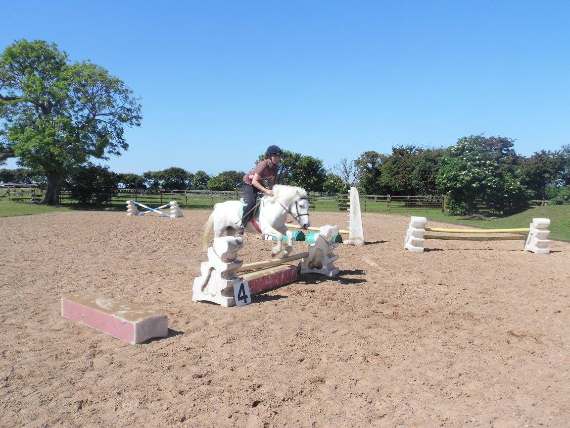 Show Jumping