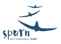 Click here to link to Spurn Bird Observatory Trust - www.spurnbirdobservatory.co.uk Spurn Bird Observatory Trust
