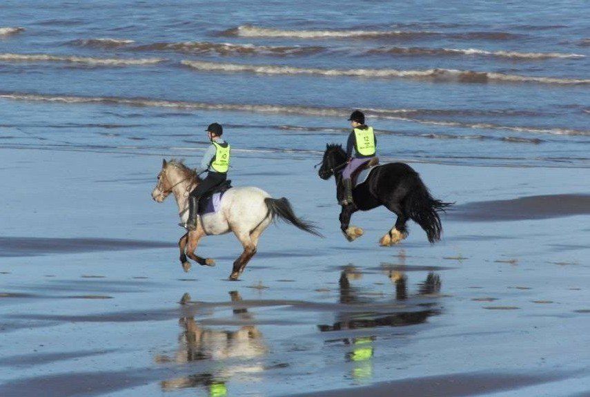 Beach rides