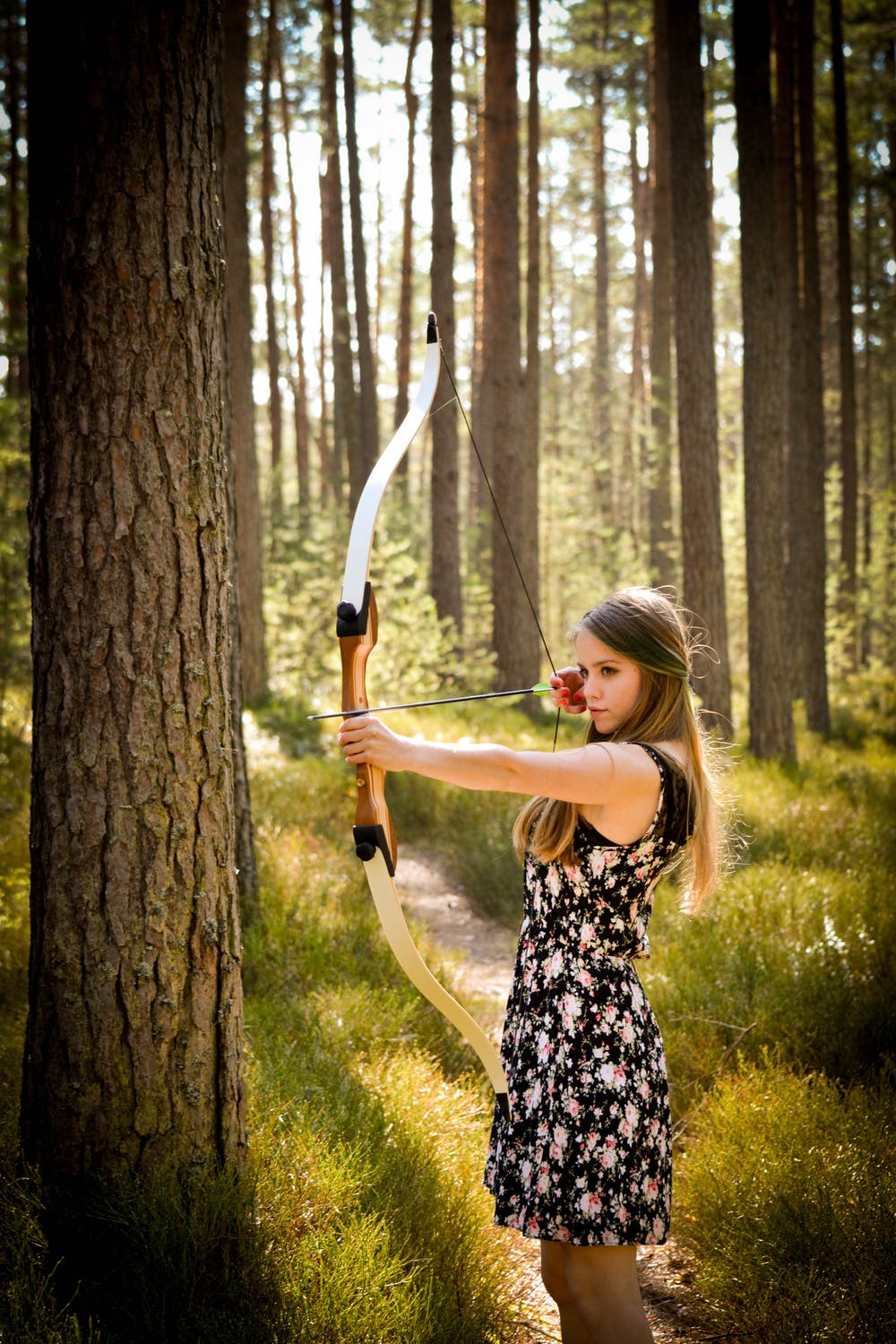 Beautiful Archer