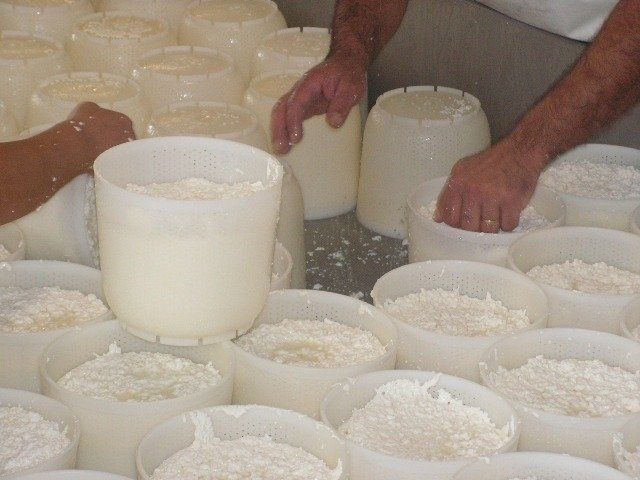 Lavorazione formaggio 2
