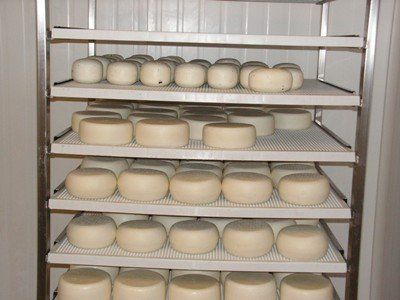 Formaggio su scaffali 2