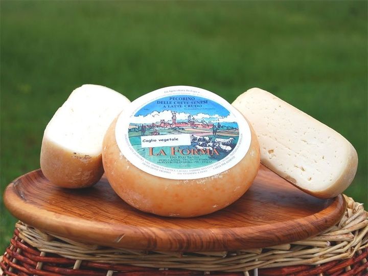 Pecorino