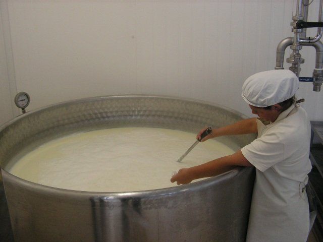 Fase di lavorazione ricotta 4
