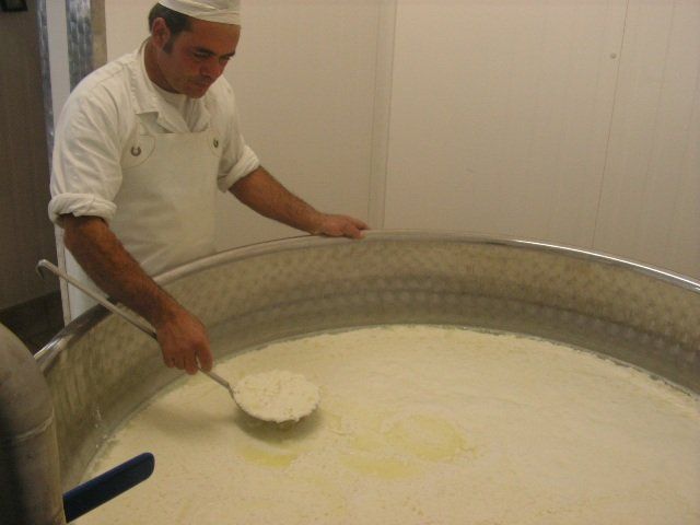 Fase di lavorazione ricotta