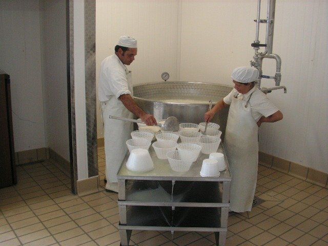 Fase di lavorazione ricotta 2