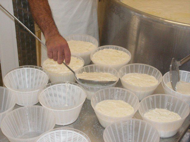 Ricotta