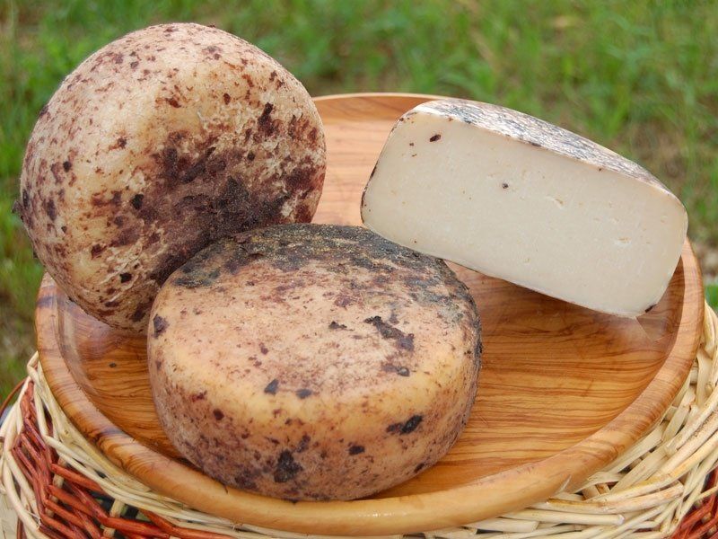 Pecorini
