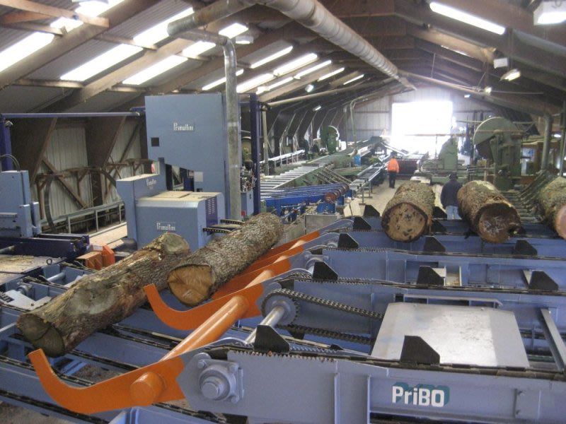 Tree trunk in cutting machine