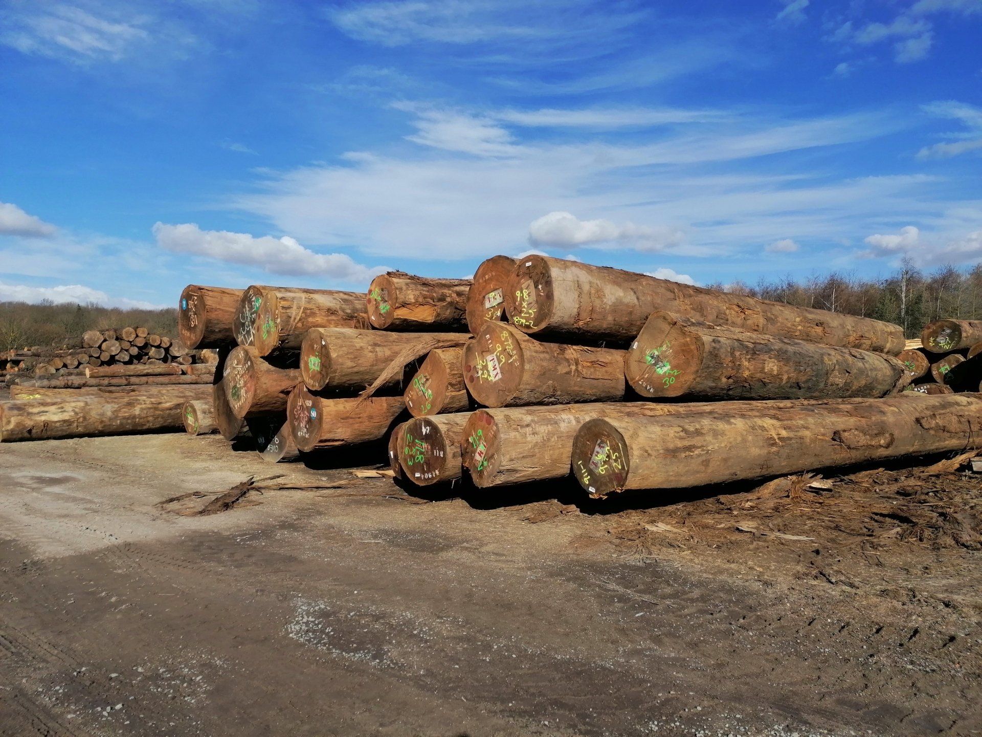 Opepe Logs