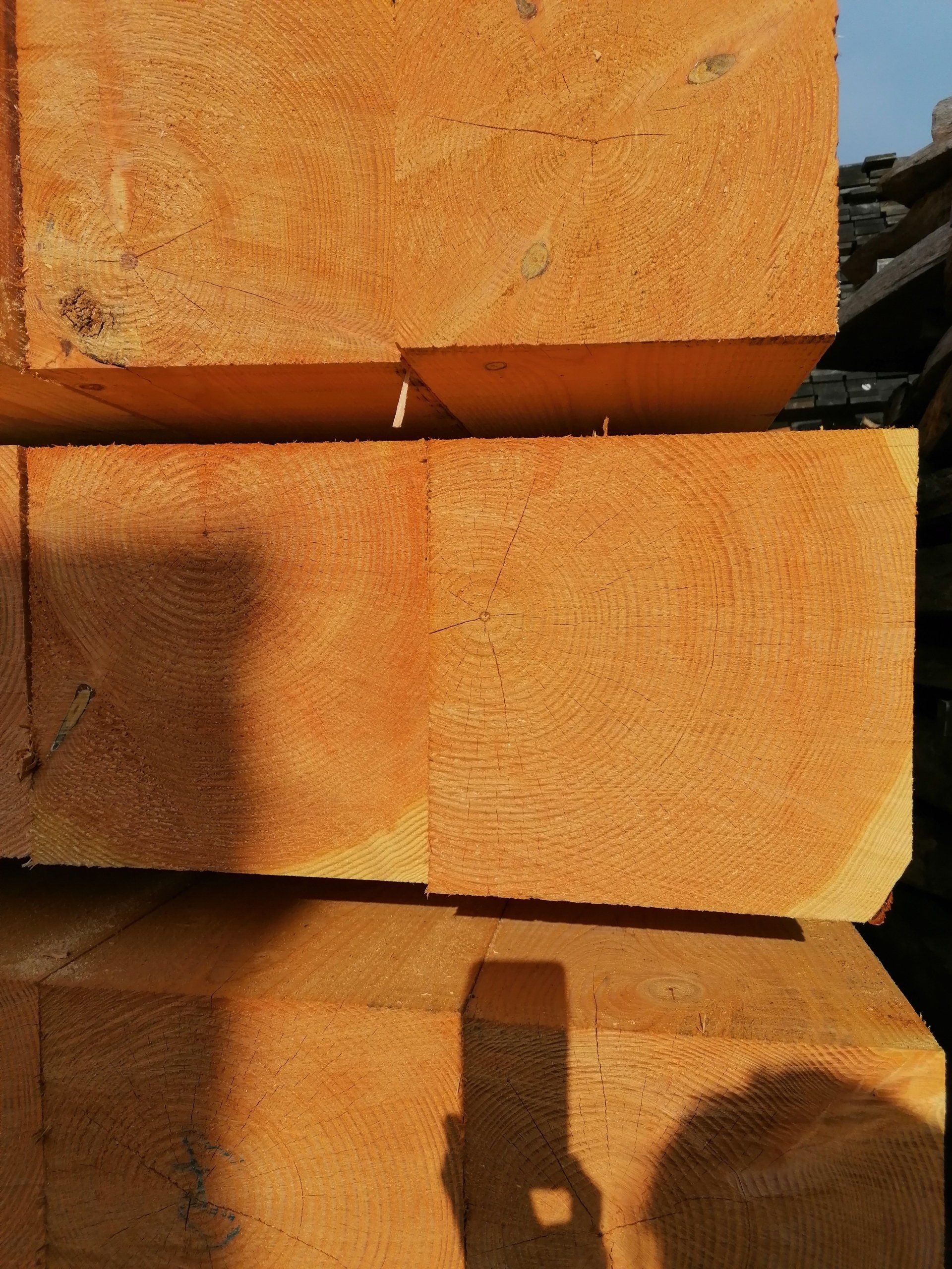 Fresh Sawn Douglas Fir
